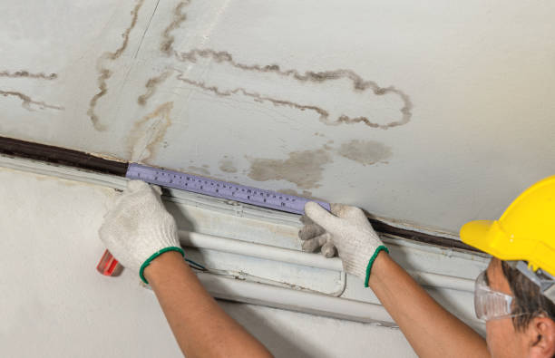 Reliable Flood Cleanup contractor in Sedalia, CO by Water Damage Irwin